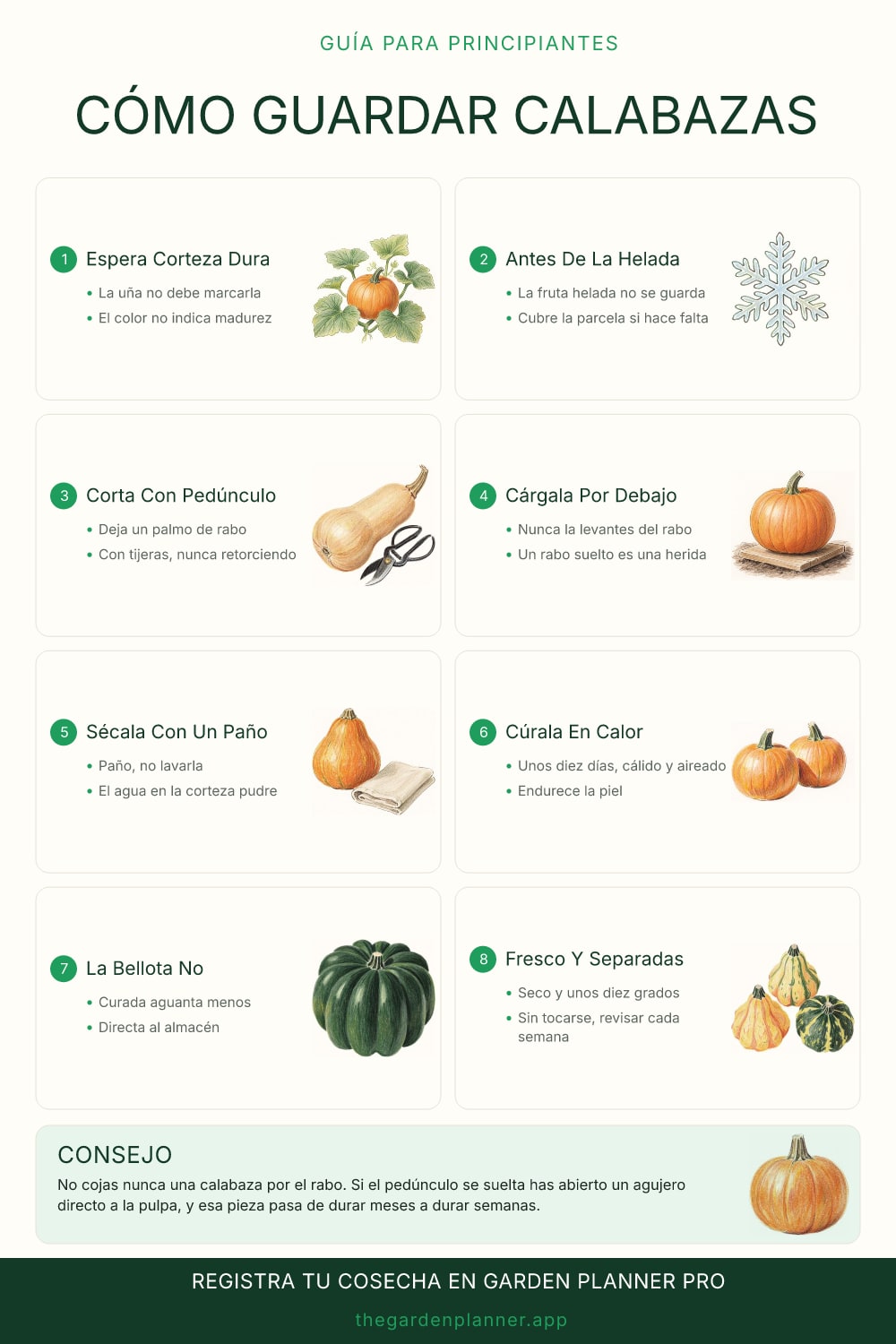 Cómo guardar calabazas