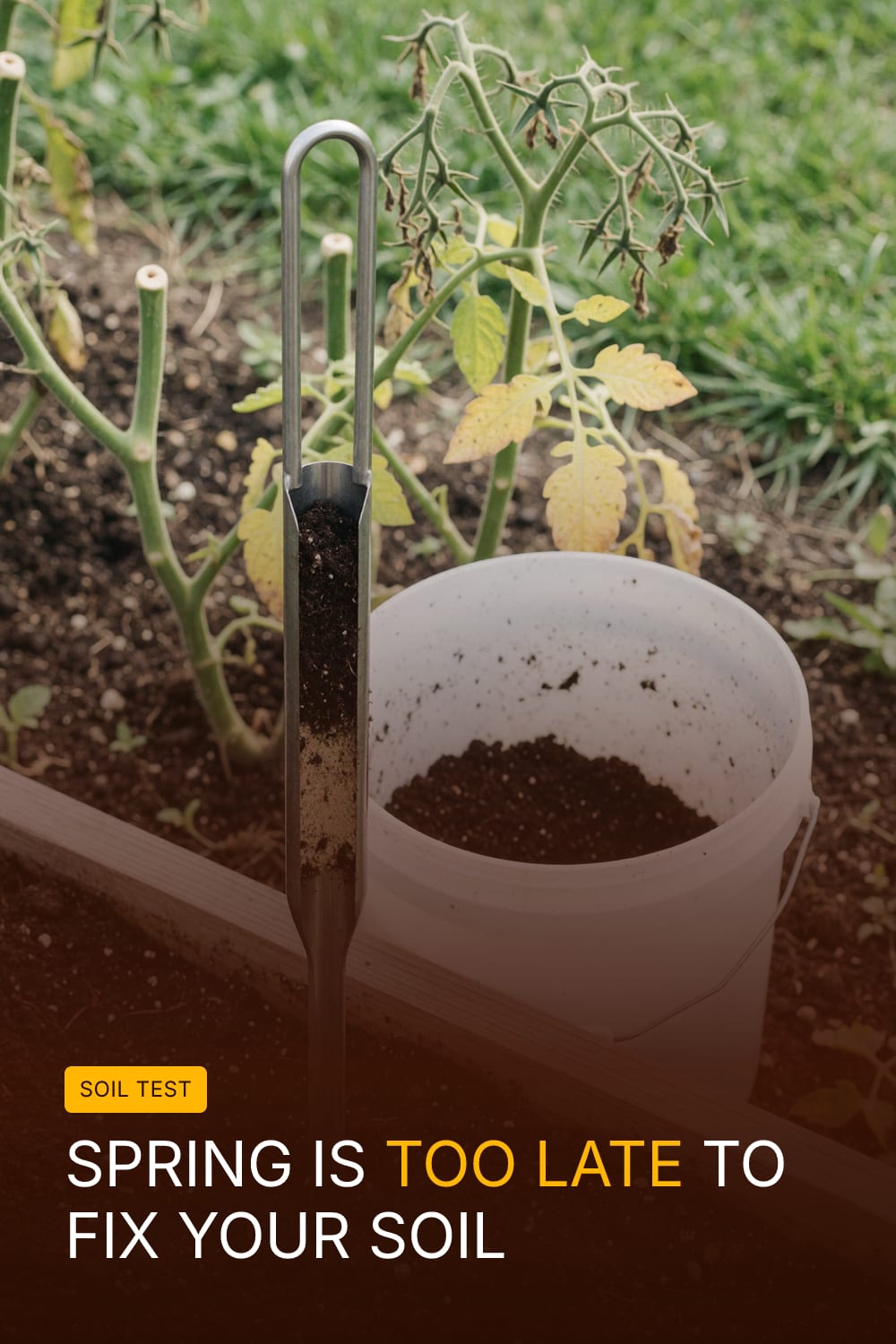Spring Is Too Late to Fix Your Soil