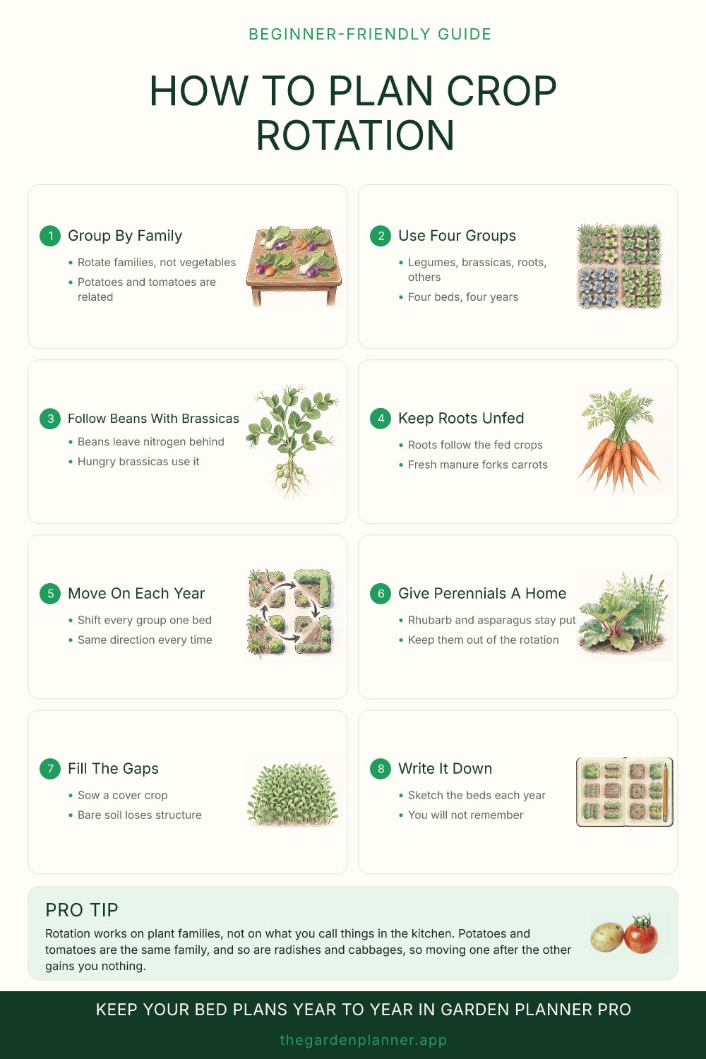 How to plan crop rotation