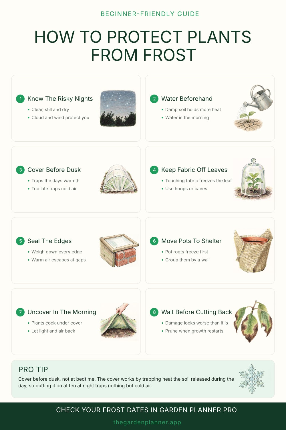 How to protect plants from frost