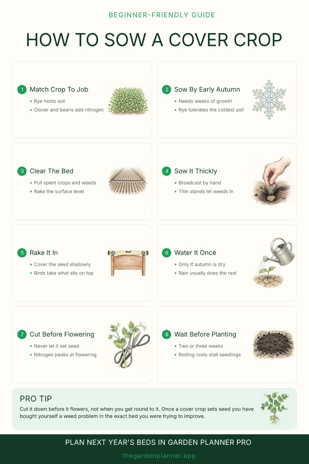 How to sow a cover crop