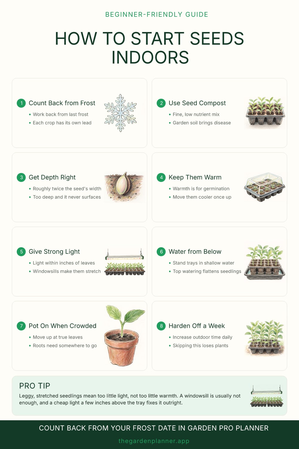 How to start seeds indoors