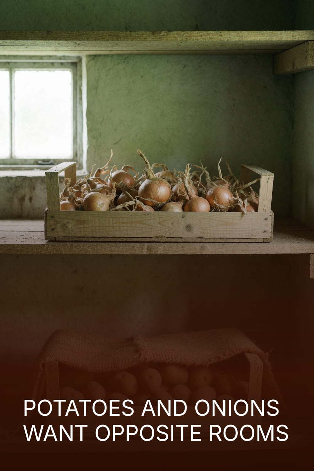 Potatoes and Onions Want Opposite Rooms