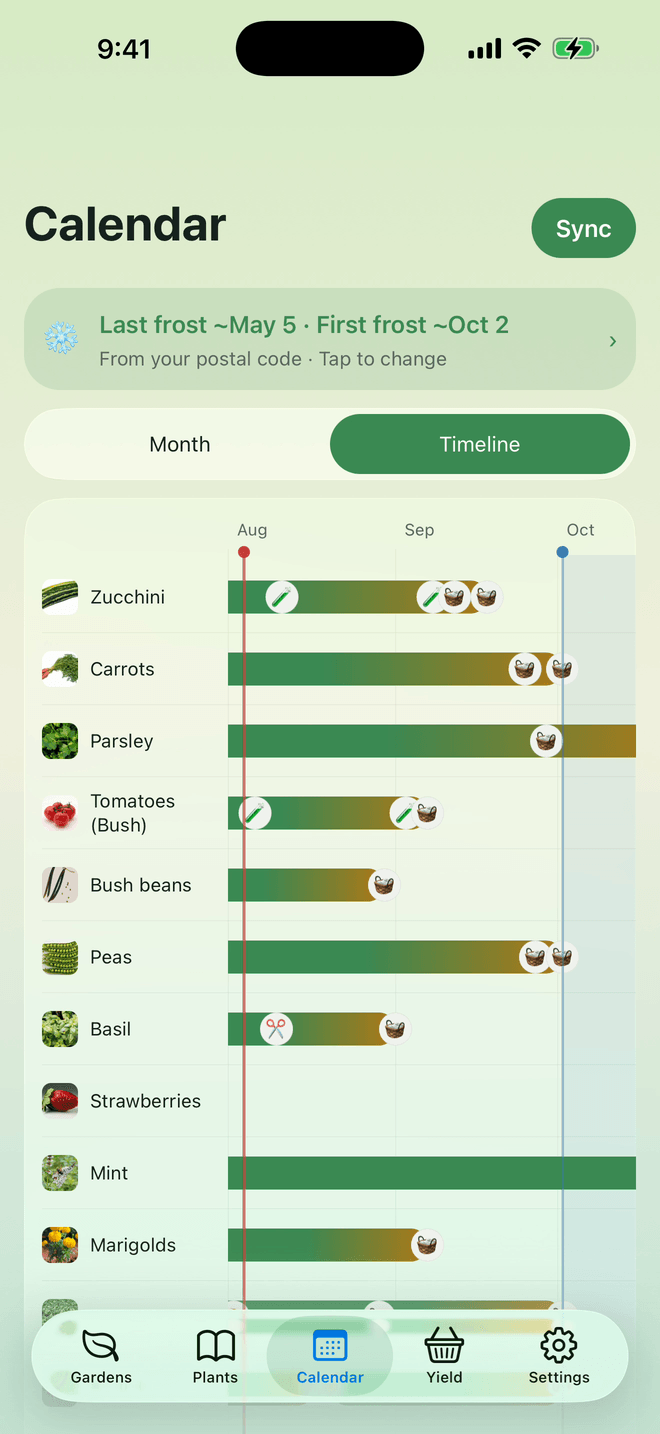 Planting calendar in Garden Pro Planner, on the timeline view: one bar per crop across August to October, marked with sowing, transplant and harvest dates